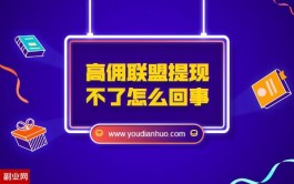 高佣联盟提现不了怎么回事？怎么提现？我已提现1500元+