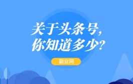 关于头条号，你知道多少？